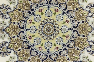 Cream Floral 6X9 Indo-Nain Oriental Rug