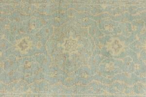 Muted Teal Floral 3X5 Transitional Oriental Rug