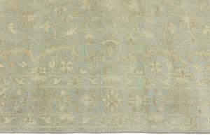 Muted Aqua Green Floral 6X9 Transitional Oriental Rug
