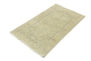 Muted Light Green Floral 3X5 Transitional Oriental Round Rug