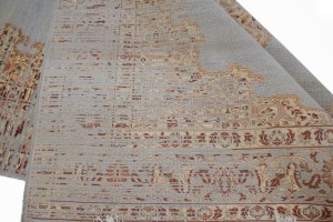 Floral Transitional 6X8 Oriental Rug