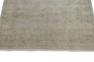 Beige Floral Transitional 6X8 Oriental Rug