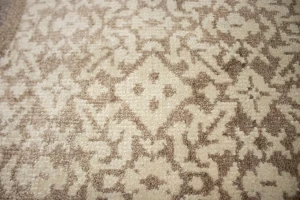 Beige Floral Modern 8X10 Oriental Rug