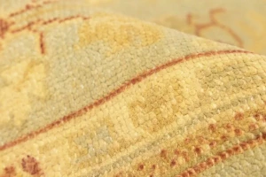 Tan Floral 8X10 Transitional Oriental Rug