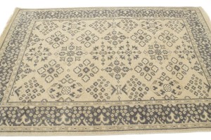 Floral Transitional 5X7 Oriental Rug