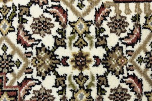Cream Floral Tribal 6X8 Indo-Bidjar Oriental Rug