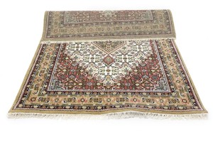 Cream Floral Tribal 6X8 Indo-Bidjar Oriental Rug