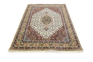 Cream Floral Tribal 6X8 Indo-Bidjar Oriental Rug