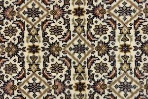 Cream Floral Tribal 4X6 Indo-Bidjar Oriental Rug