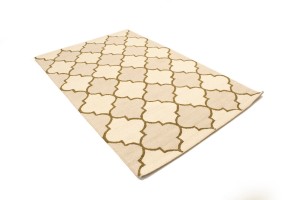 Multicolored Trellis 5X8 Hand-Tufted Modern Rug