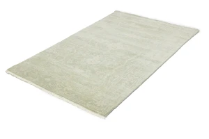 Muted Green Floral 4X6 Transitional Oriental Rug