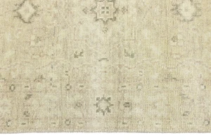 Muted Beige Pinkish Floral 3X5 Transitional Oriental Rug