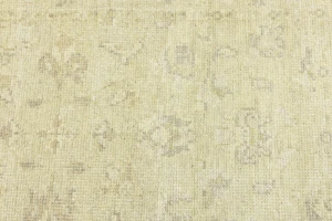Muted Beige Floral 3X5 Transitional Oriental Rug
