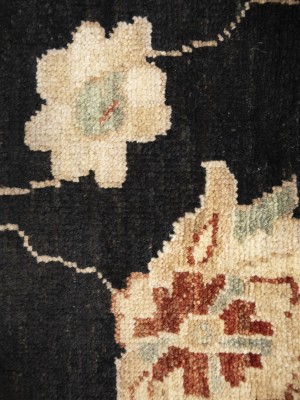 Black Floral Peshawar 9X12 Pakistan Oriental Rug