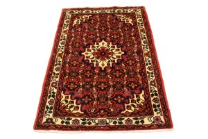 Bittersweet Red Floral 3X5 Hamedan Persian Rug