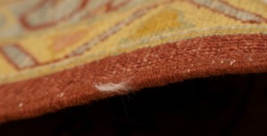Rusty Red Tribal Floral 8'3X11'5 Ziegler Pakistan Rug