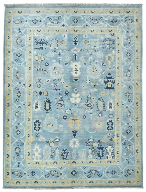 Blue Floral Modern 4X5 Kazak Oushak Pakistan Rug
