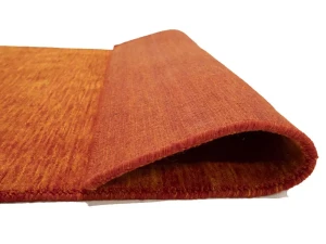 Orange Red Modern Solid 3X5 Gabbeh Oriental Rug